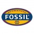 FOSSIL (36)